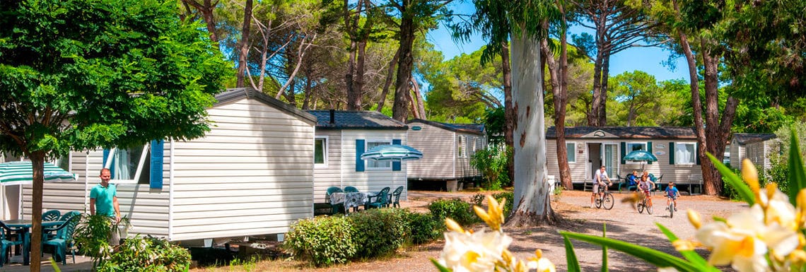 Camping-Domaine-d-Anghione-Corsica
