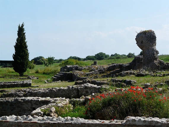 Bomen-en-bloemen-bij-ruines-Aleria