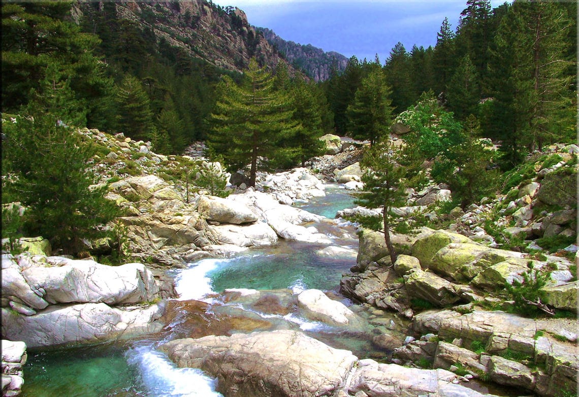 Bossen-en-rivier-op-Corsica