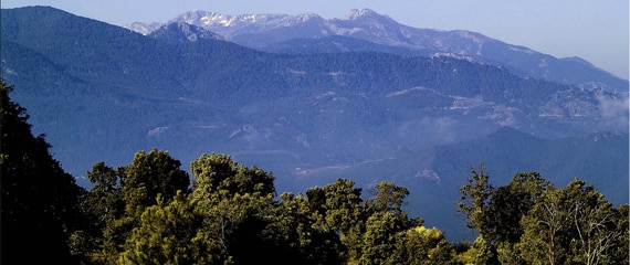 Cala-di-Ciglio-natuur-in-de-buurt