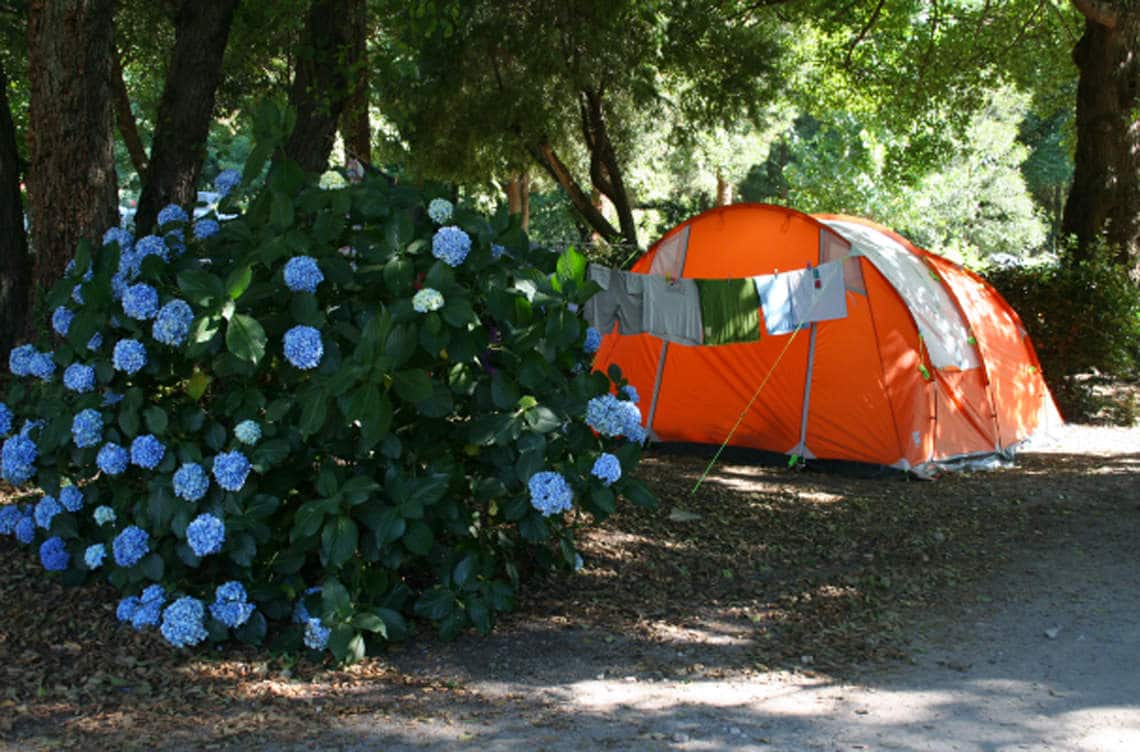 Camping-Sagone-tent