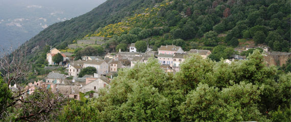 Canari-vanuit-de-bergen