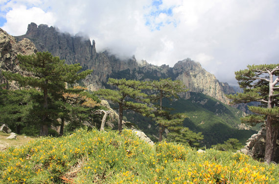 Col-de-Bavella-Zuid-Corsica