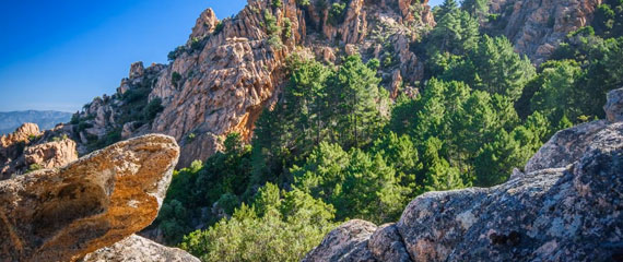 Een-impressie-van-Corsica-video