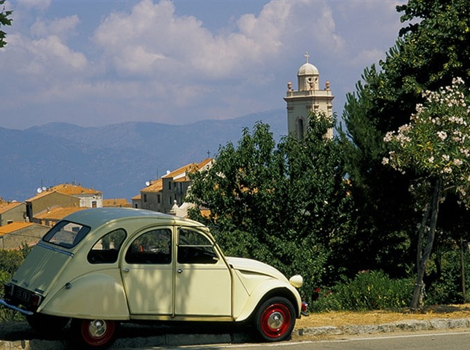 Foto eend in Corsica Rondreis