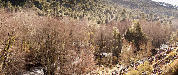 Gorges-du-Prunelli-overzicht