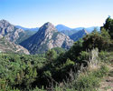 Gorges-du-Prunelli