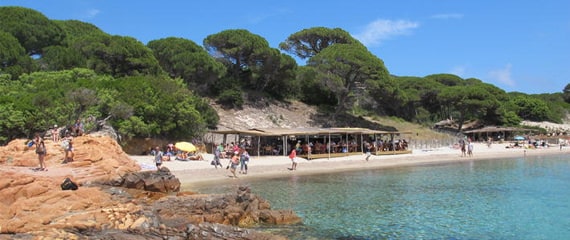 I-Pini-de-strandtent-op-het-bijzondere-Palombaggia