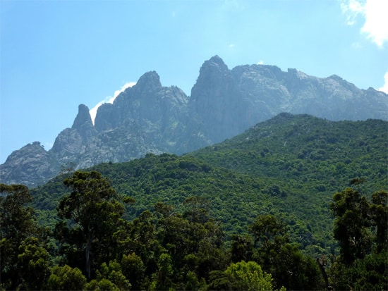 Natuurreservaat-Scandola-overzicht-bos-bergen
