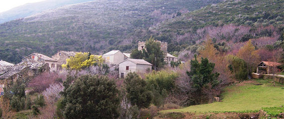 Overzicht-van-Sisco-in-Noord-Corsica