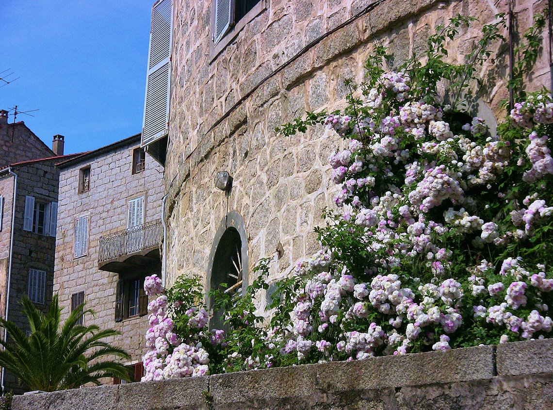 Sartene-muur-met-bloemen