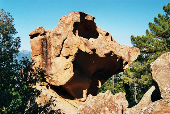 Tete-du-Chien-hondenkop-rots-in-Calanques-de-Piana