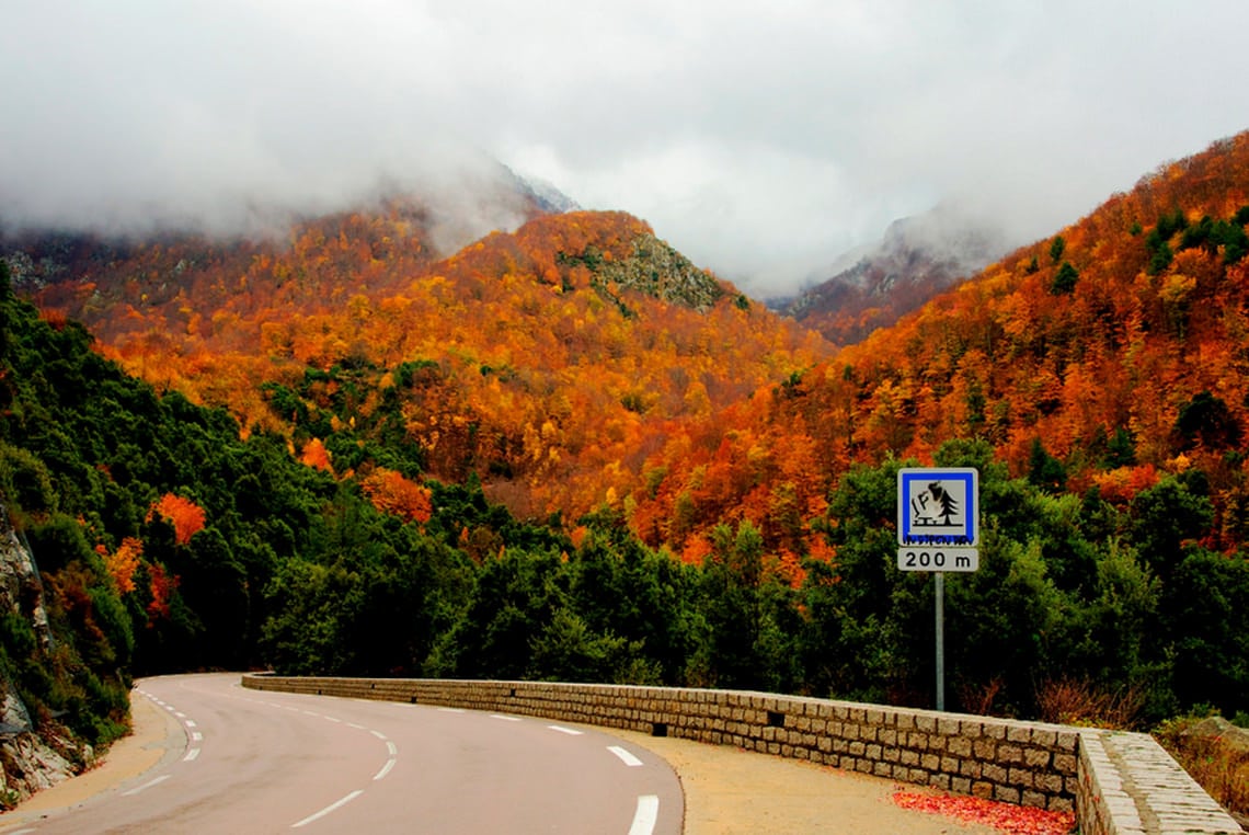 Vizzavona-Arke-8-daagse-rondreis-Bijzonder-Corsica-op-Corsica-vakantie-info